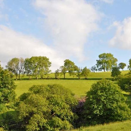 Hendre Aled Farmhouse Llansannan Exteriér fotografie
